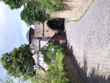 2011- 288.jpg